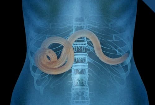 Probiomax precio farmacia del ahorro