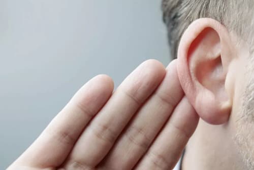 Max Audition opiniones