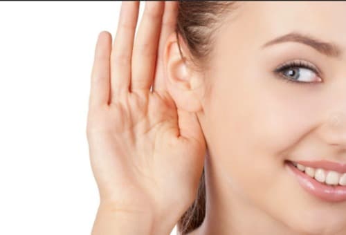 Max Audition como se aplica