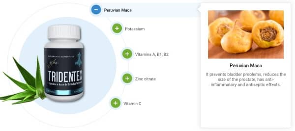 Tridentex precio en México