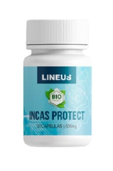 Incas Protect